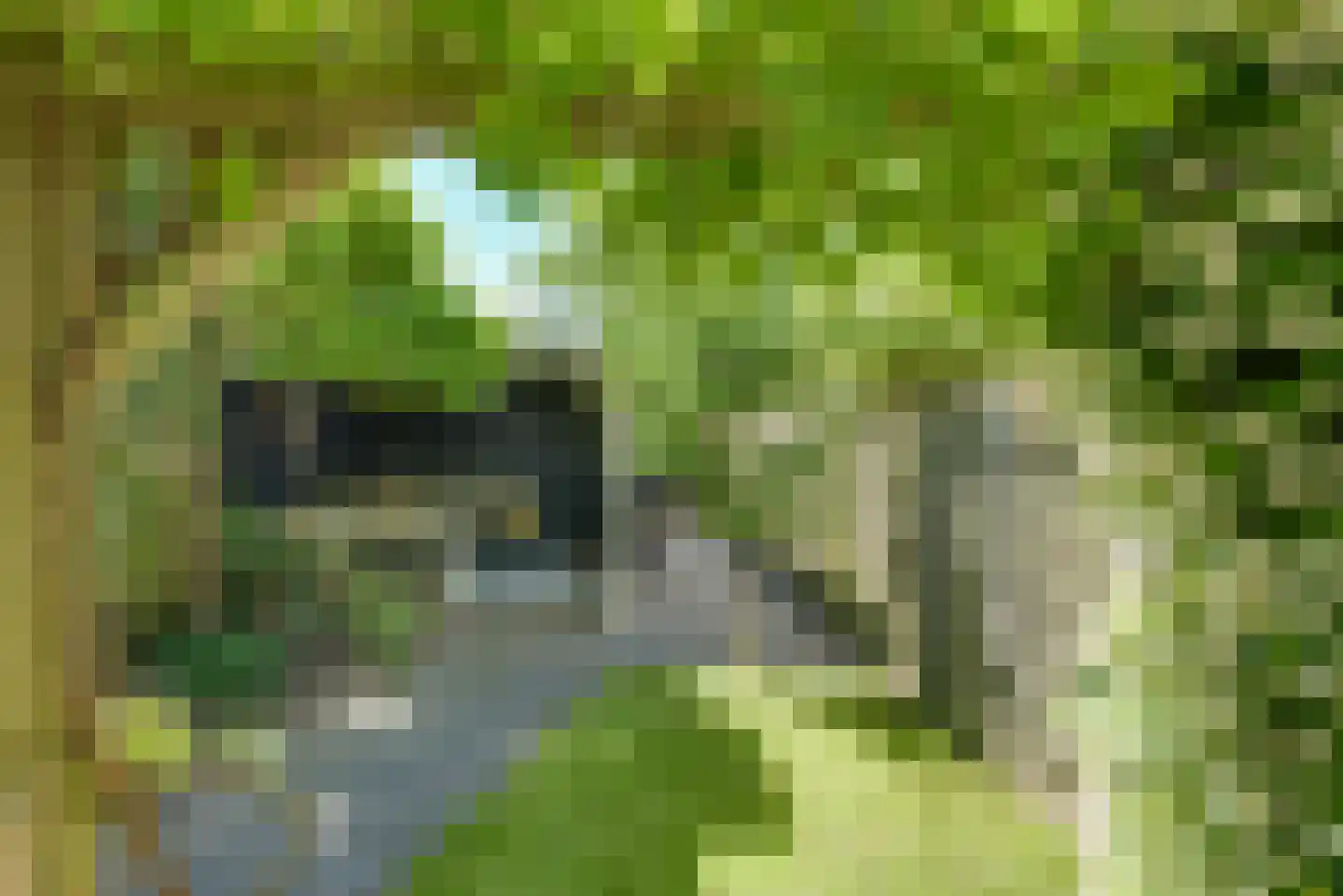 de Graaff 64 Werkendam thumbnail 12