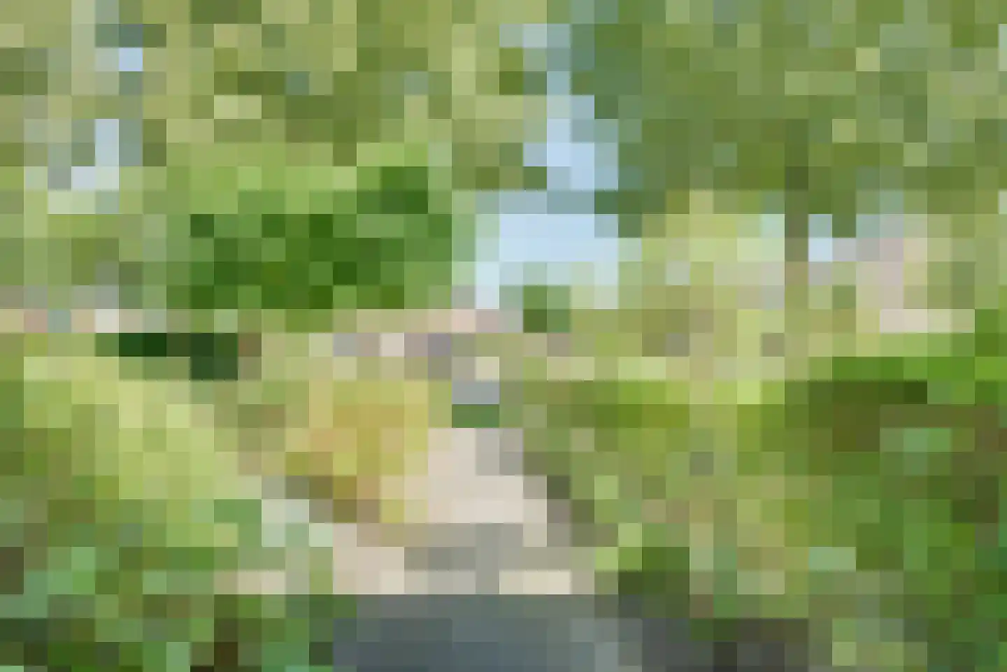 de Graaff 64 Werkendam thumbnail 26