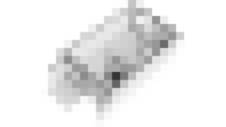 de Graaff 64 Werkendam thumbnail 30
