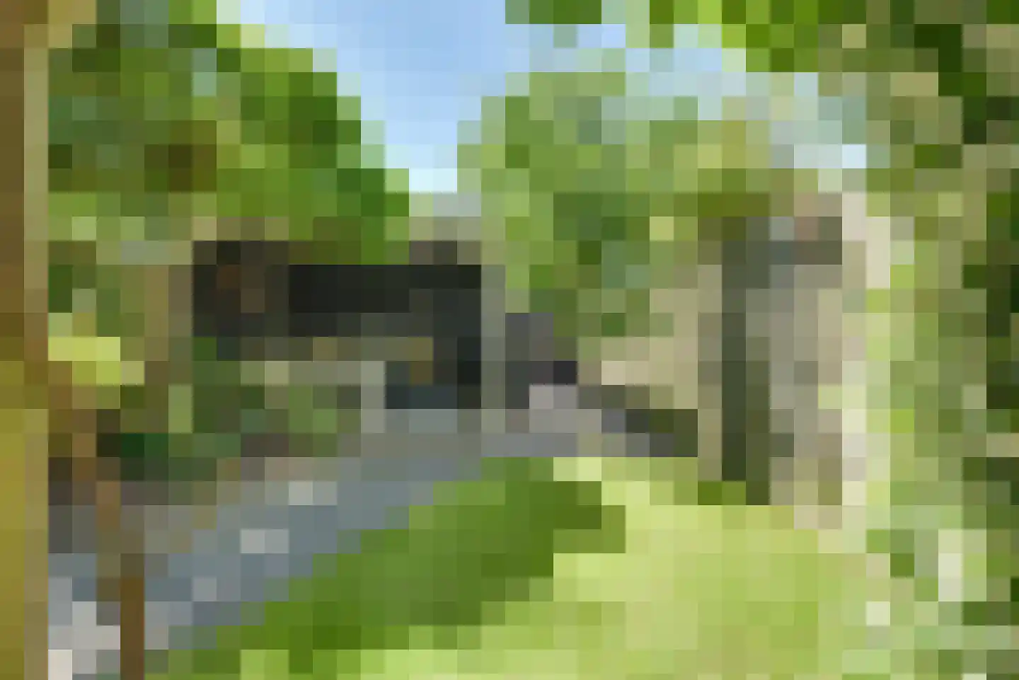 de Graaff 64 Werkendam thumbnail 4