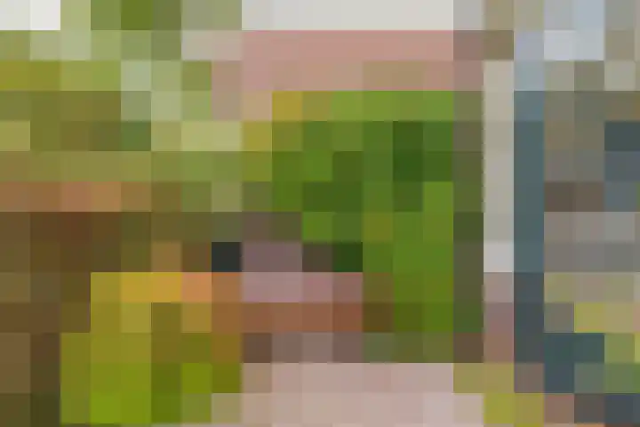 De Graaffstraat 93 Goes thumbnail 16