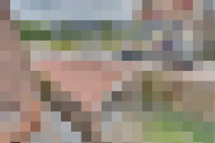 De Graaffstraat 93 Goes thumbnail 46