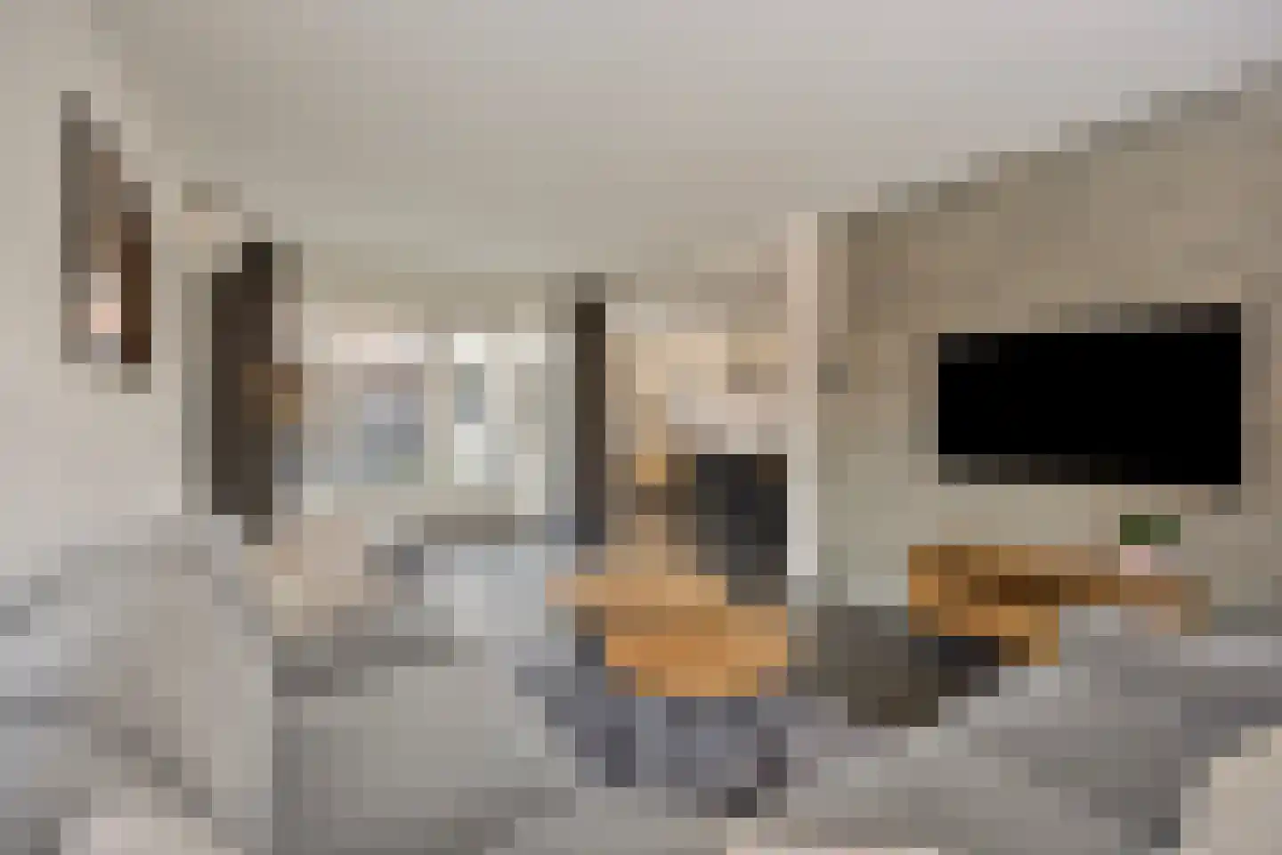 de Graafjes 9 Bunschoten-Spakenburg thumbnail 10