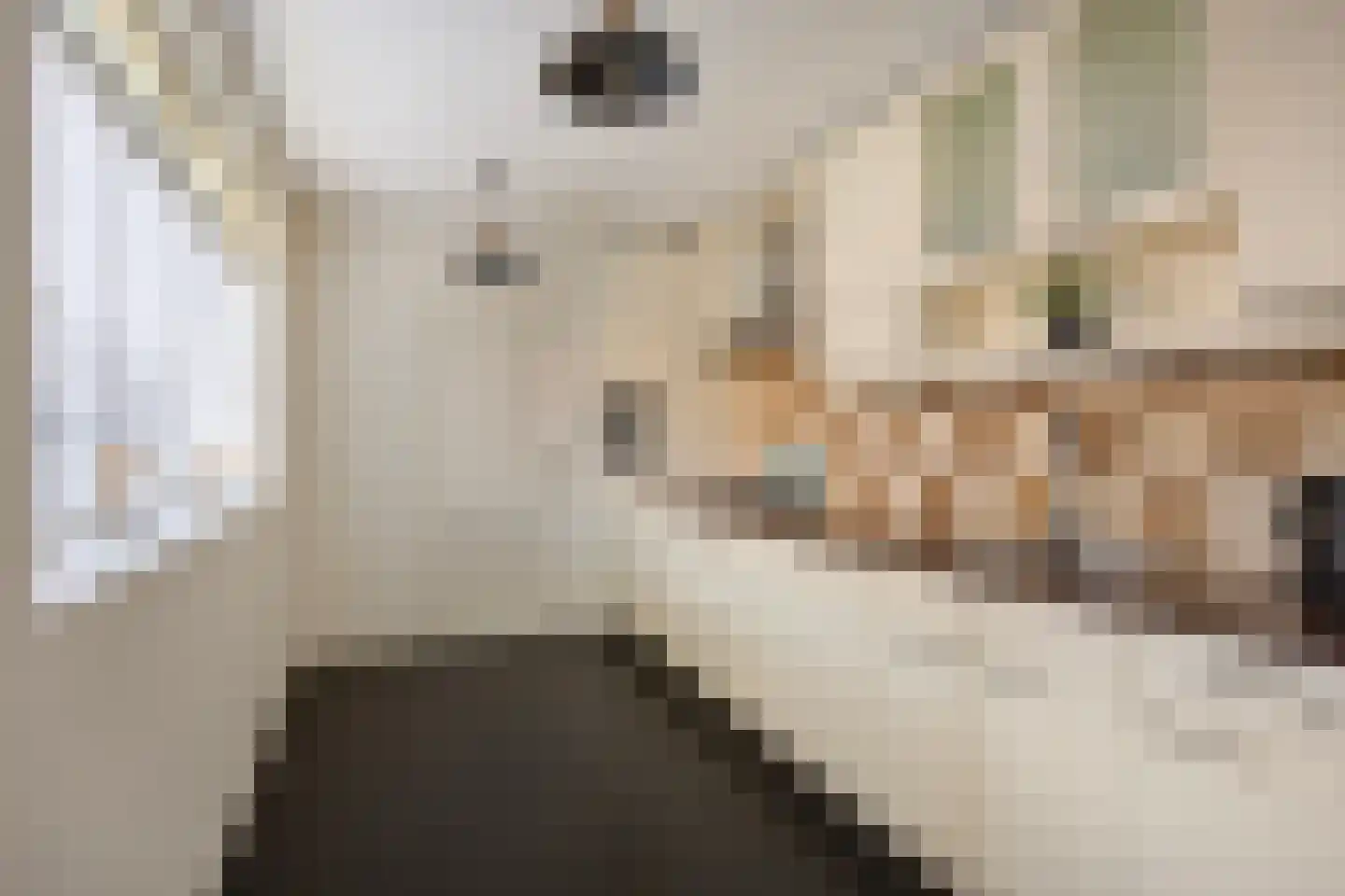 de Graafjes 9 Bunschoten-Spakenburg thumbnail 12