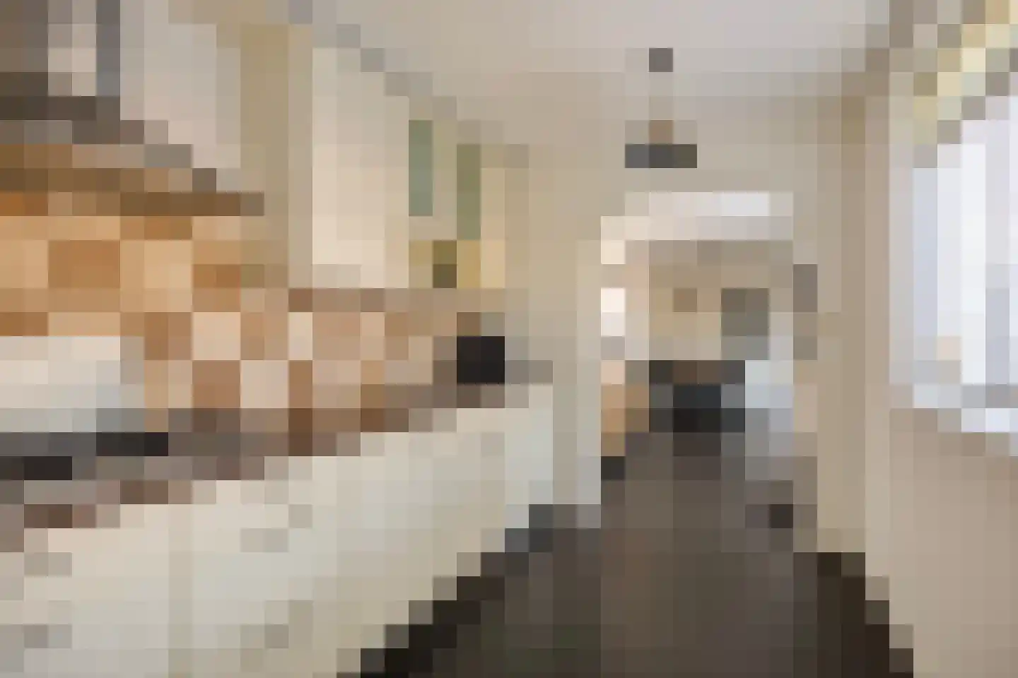 de Graafjes 9 Bunschoten-Spakenburg thumbnail 13