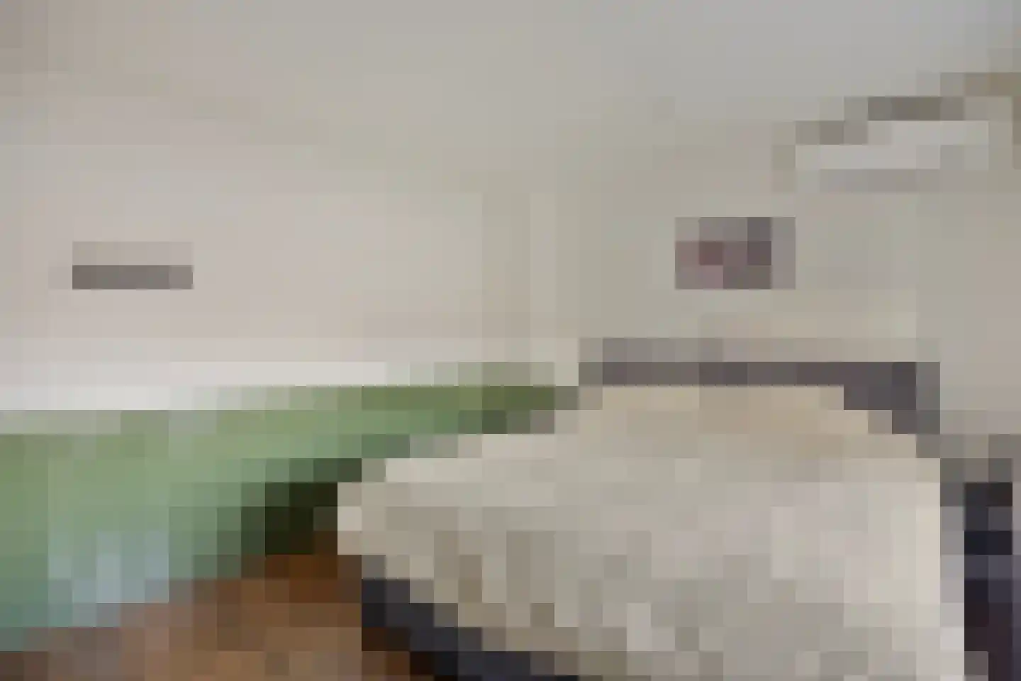 de Graafjes 9 Bunschoten-Spakenburg thumbnail 19