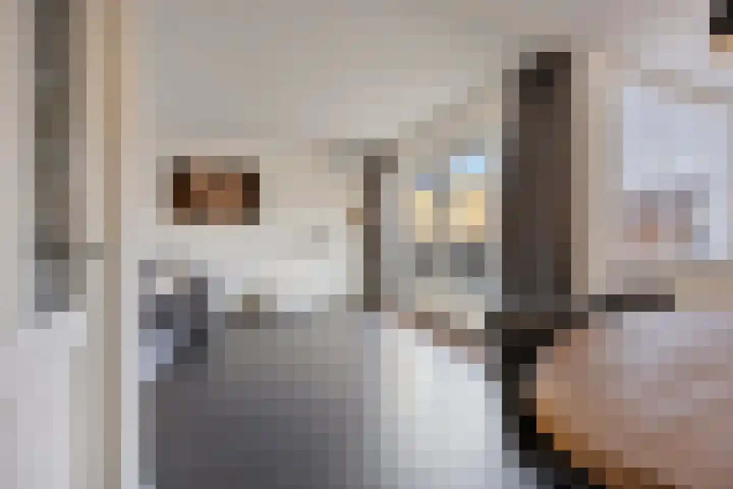 de Graafjes 9 Bunschoten-Spakenburg thumbnail 7