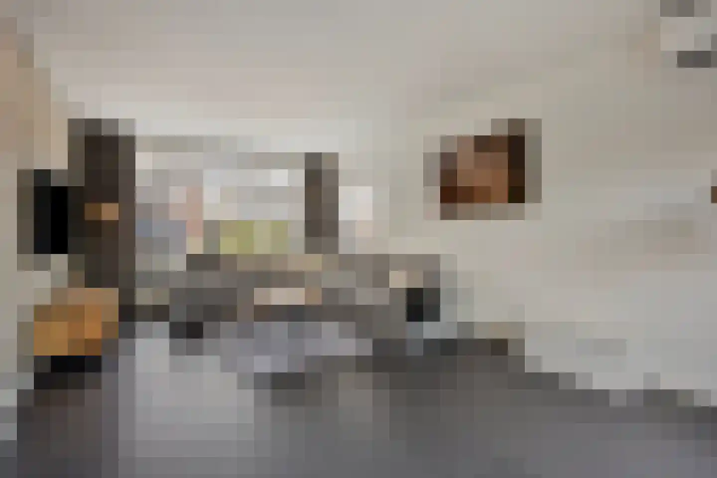 de Graafjes 9 Bunschoten-Spakenburg thumbnail 8