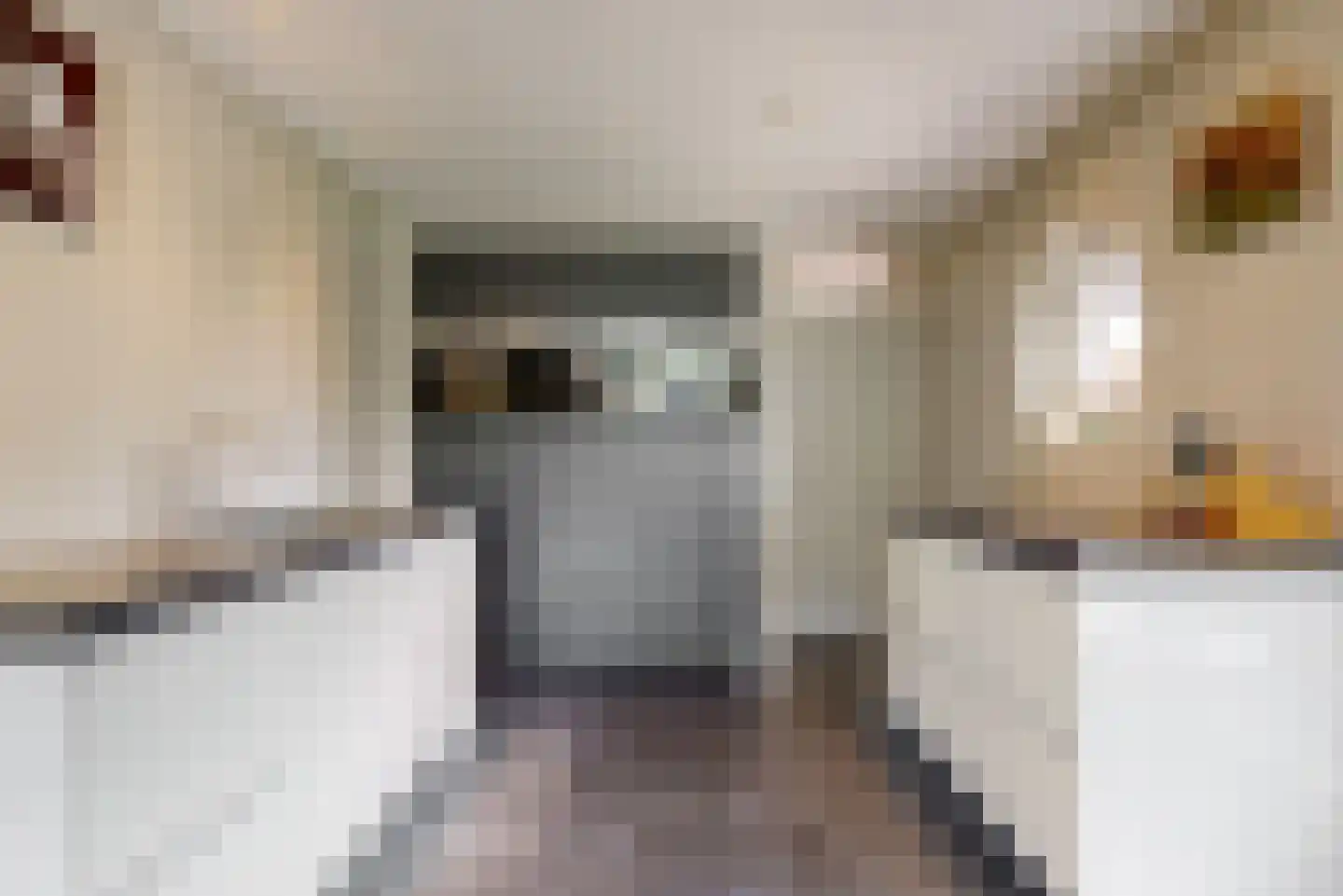 De Gracht 1 Zwaagdijk-Oost thumbnail 16