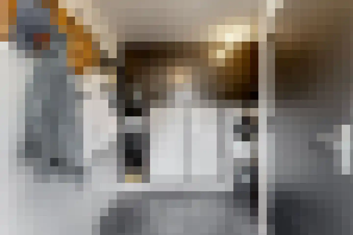 De Gracht 1 Zwaagdijk-Oost thumbnail 25