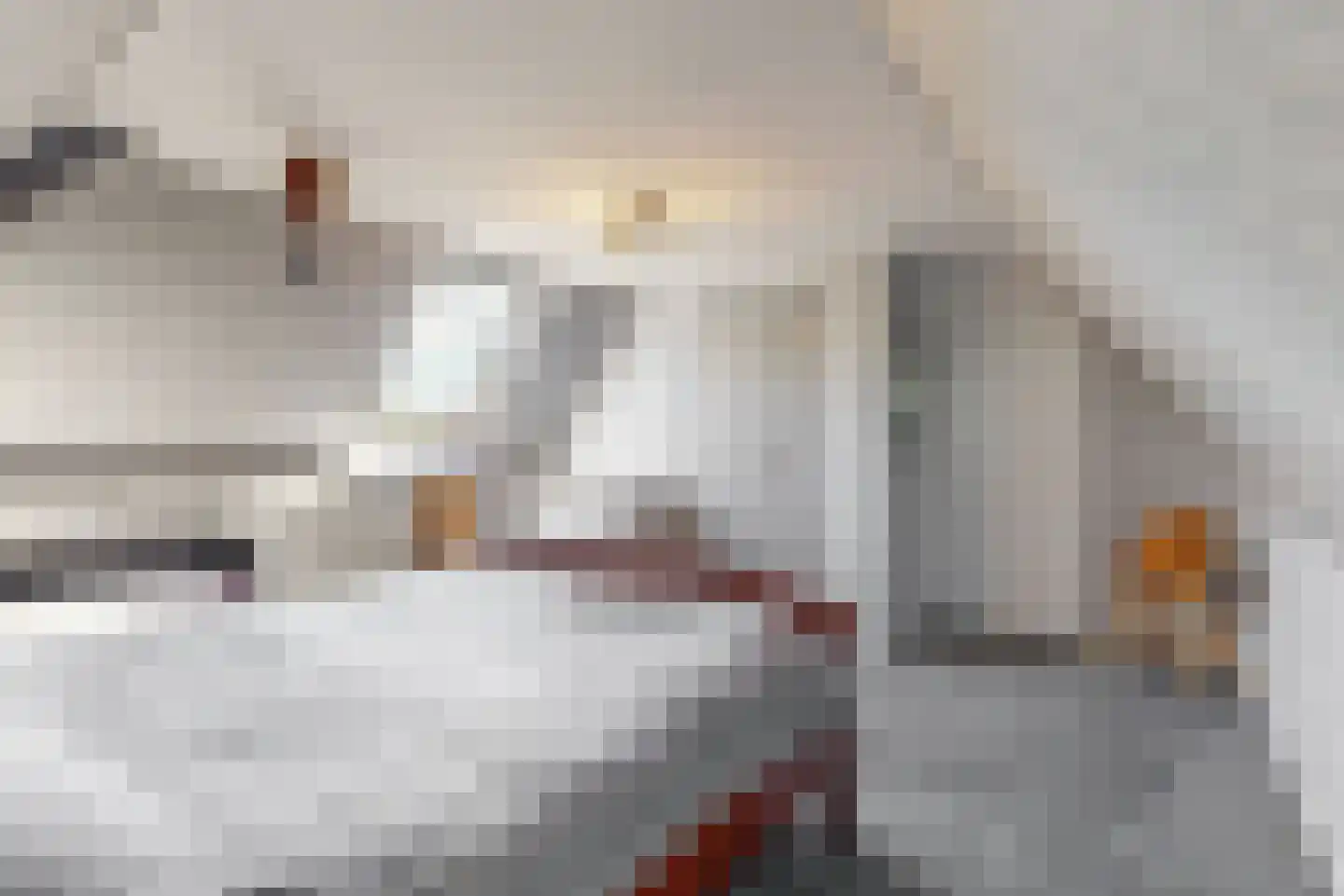 De Gracht 1 Zwaagdijk-Oost thumbnail 30
