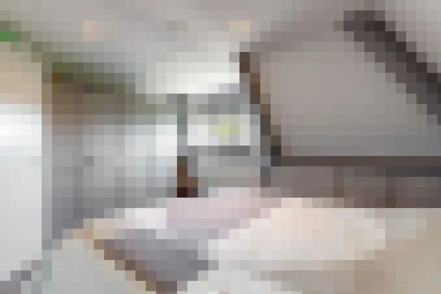 De Gracht 1 Zwaagdijk-Oost thumbnail 32
