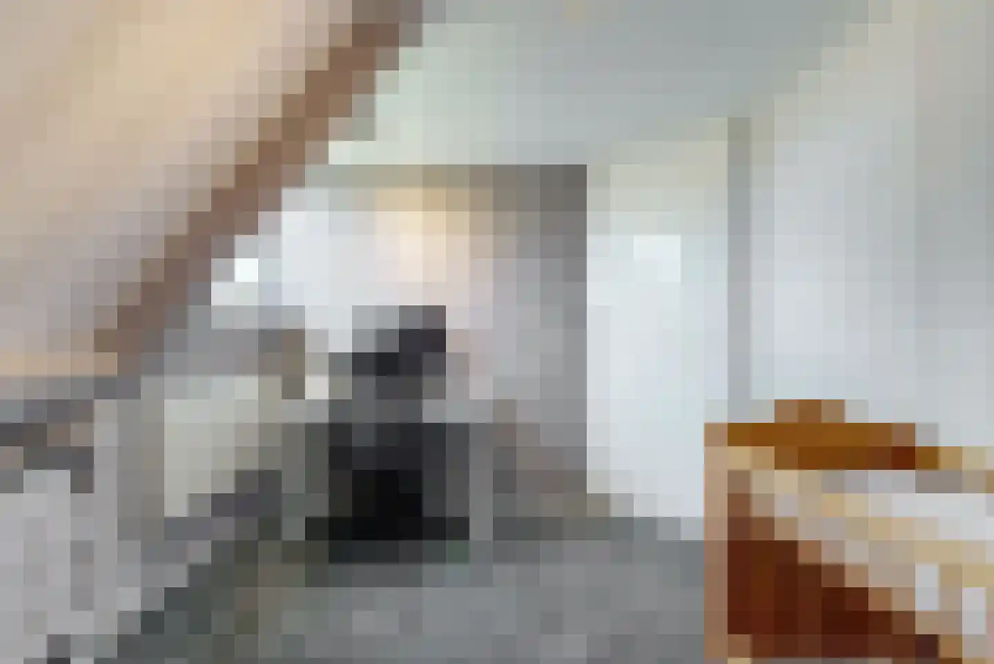 De Gracht 1 Zwaagdijk-Oost thumbnail 34