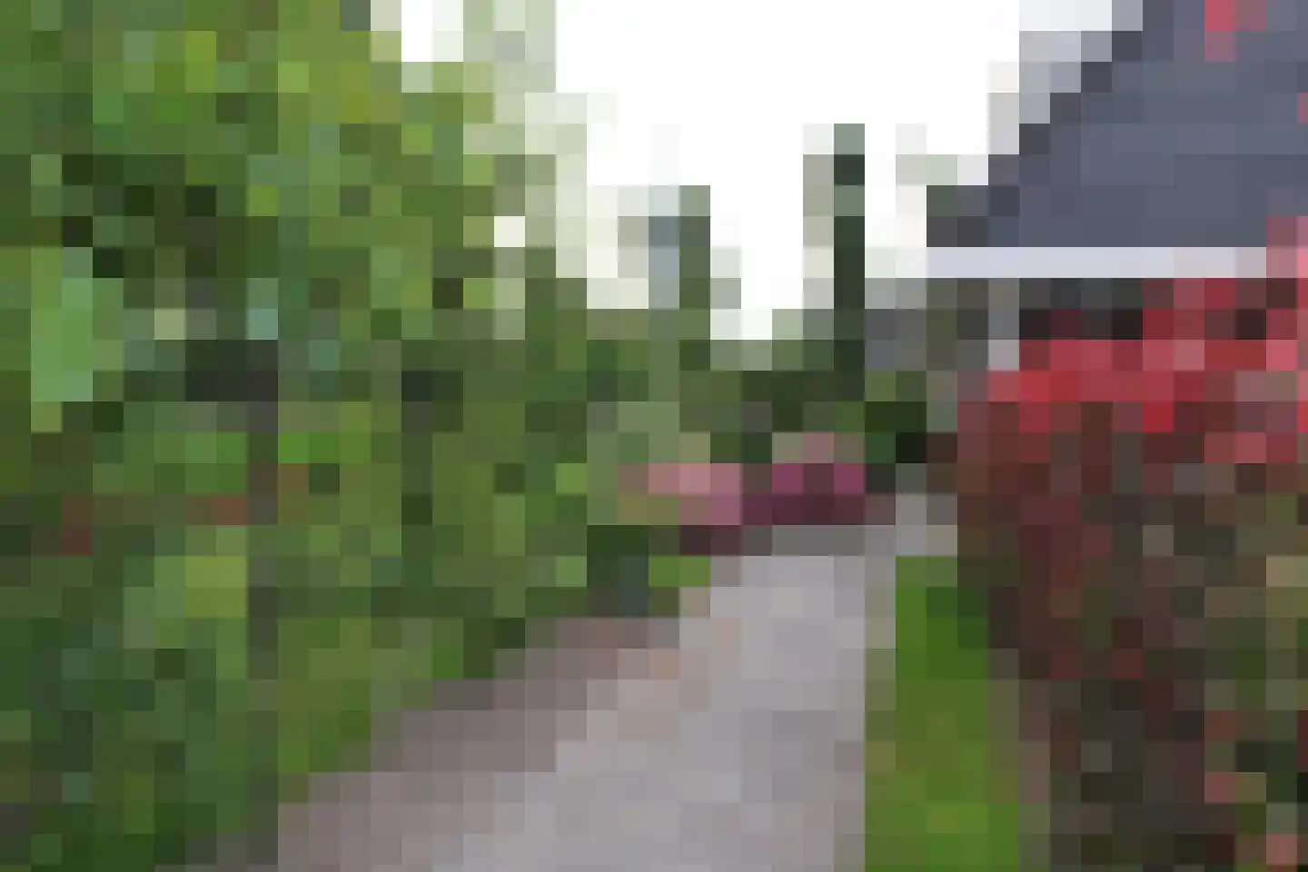 De Gracht 1 Zwaagdijk-Oost thumbnail 35