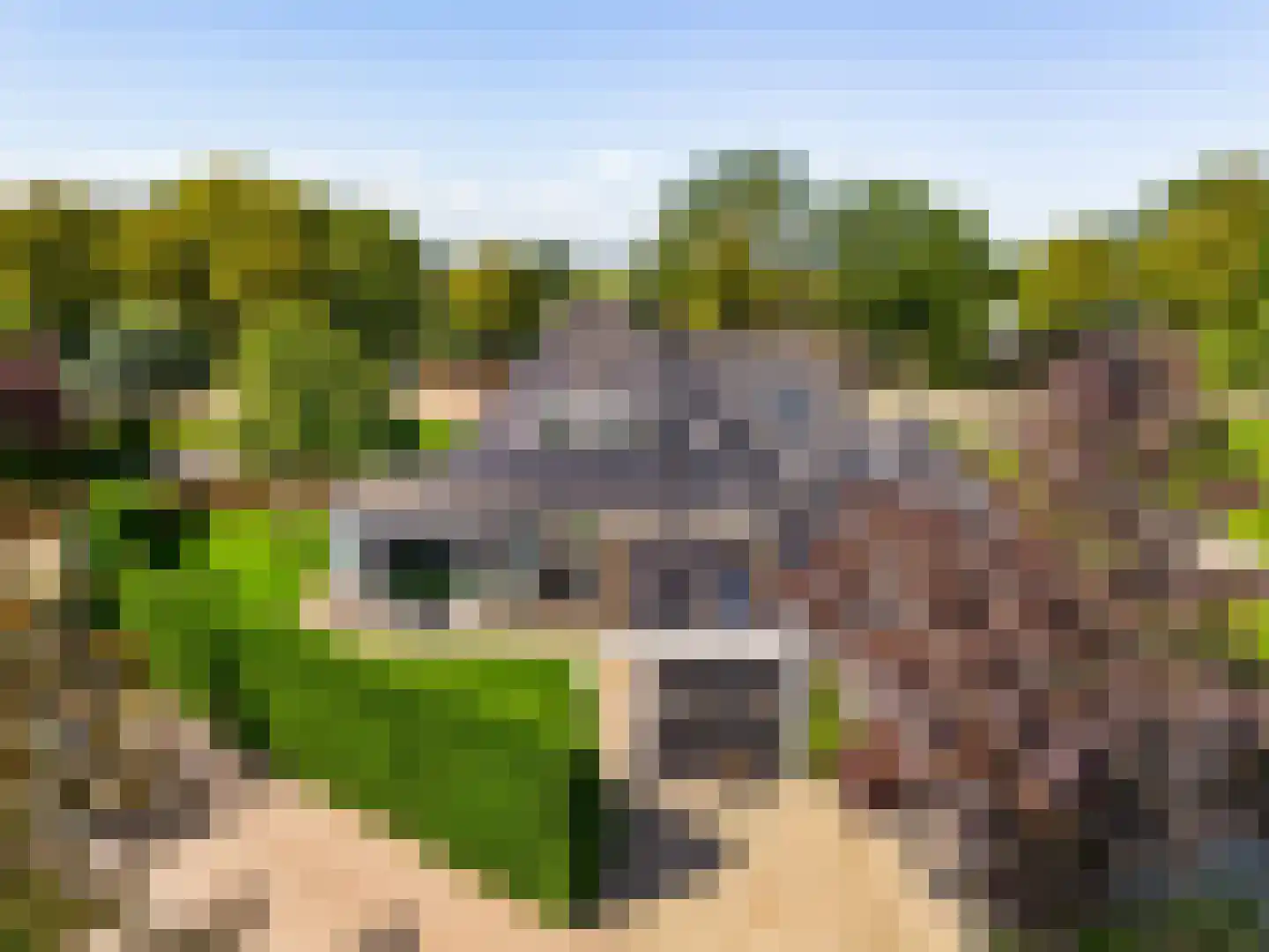 De Gracht 1 Zwaagdijk-Oost thumbnail 38