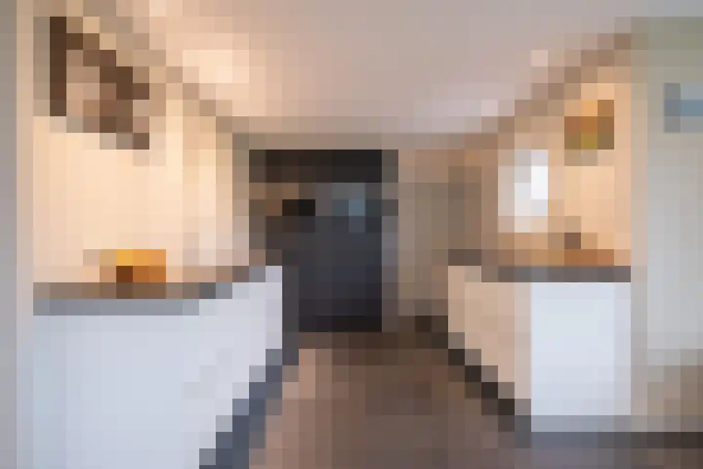 De Gracht 1 Zwaagdijk-Oost thumbnail 5