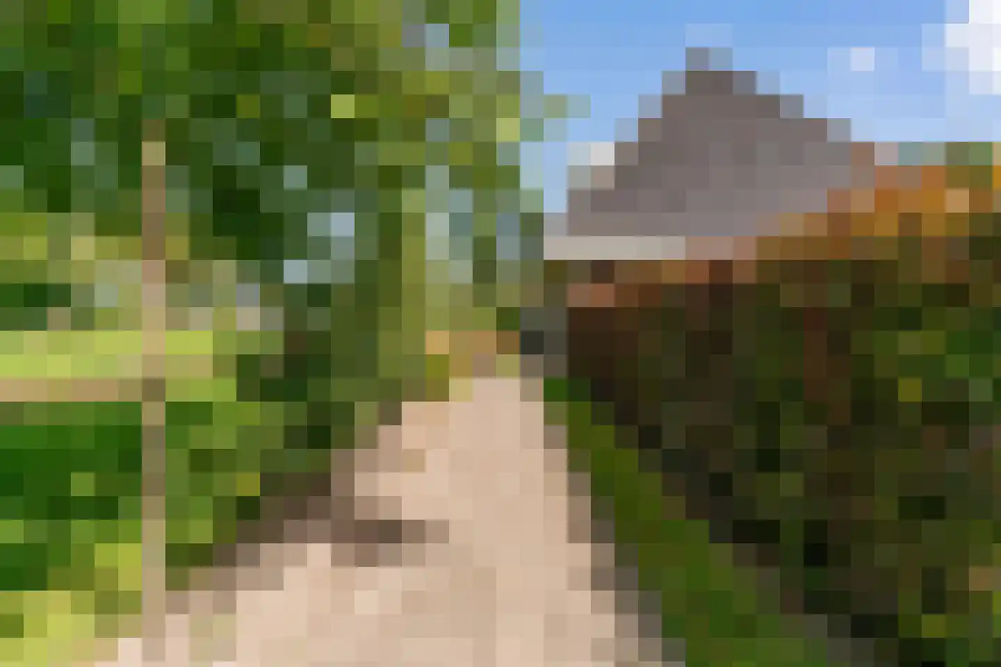 De Gracht 1 Zwaagdijk-Oost thumbnail 50