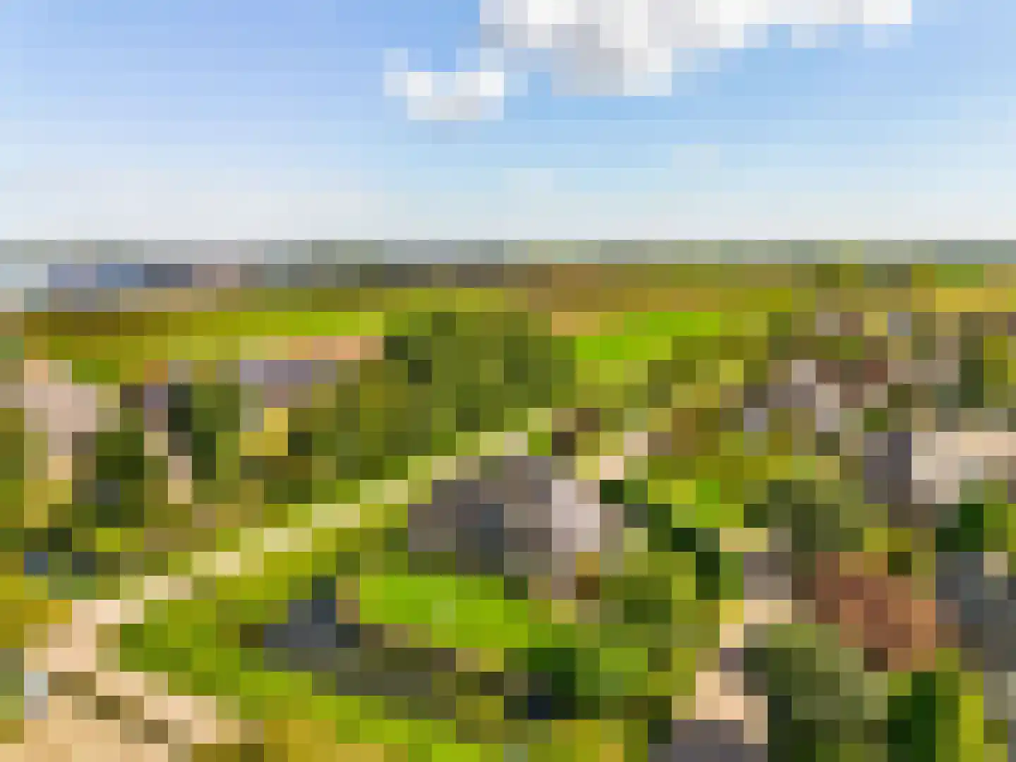 De Gracht 1 Zwaagdijk-Oost thumbnail 53