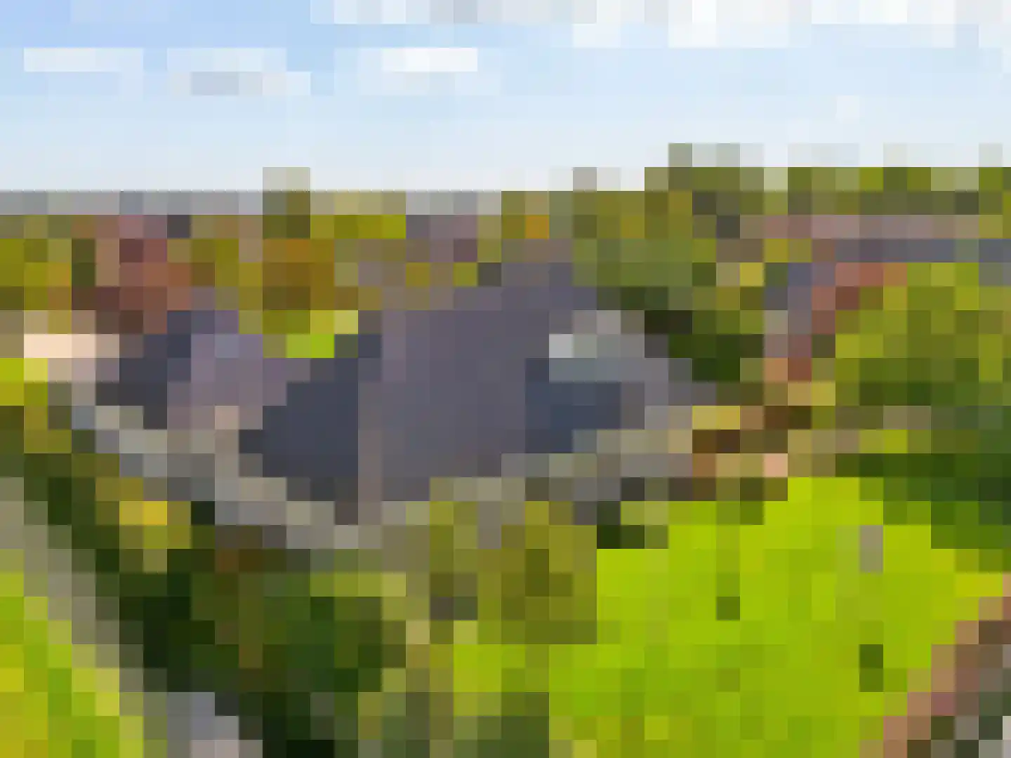 De Gracht 1 Zwaagdijk-Oost thumbnail 54