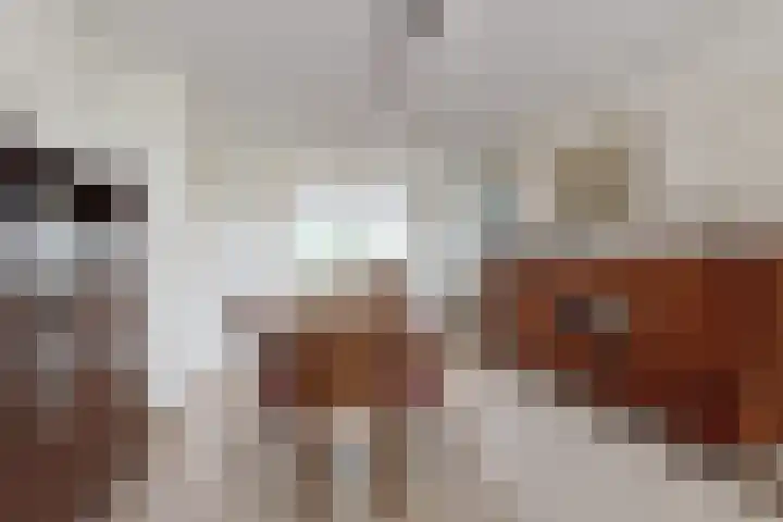 De Gracht 3 Klundert thumbnail 17