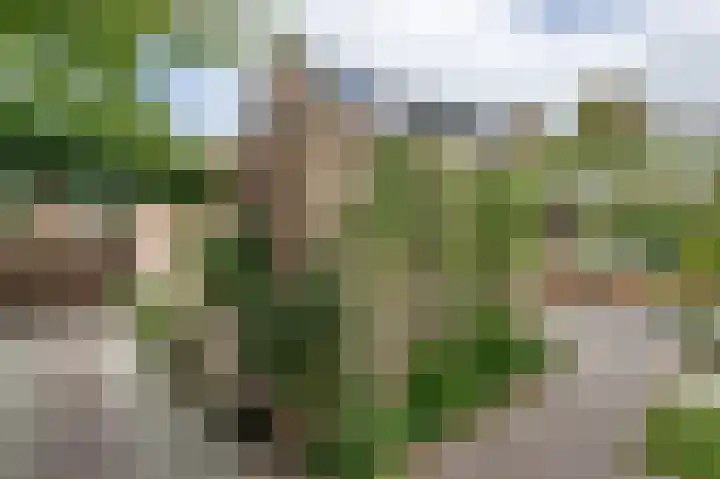 De Gracht 4 Ouddorp thumbnail 31