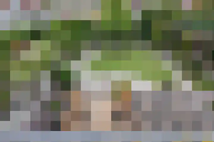 De Gracht 4 Ouddorp thumbnail 32