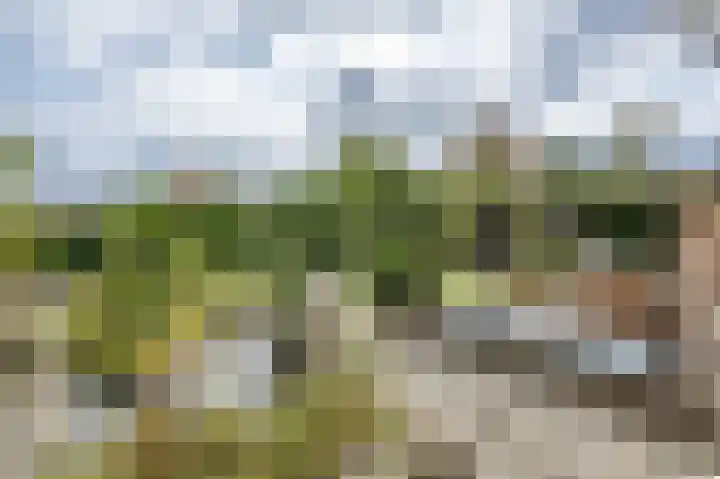 De Gracht 4 Ouddorp thumbnail 4