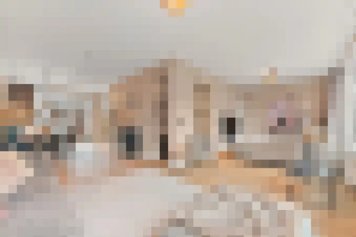 De Graeffstraat 11 A in Rotterdam