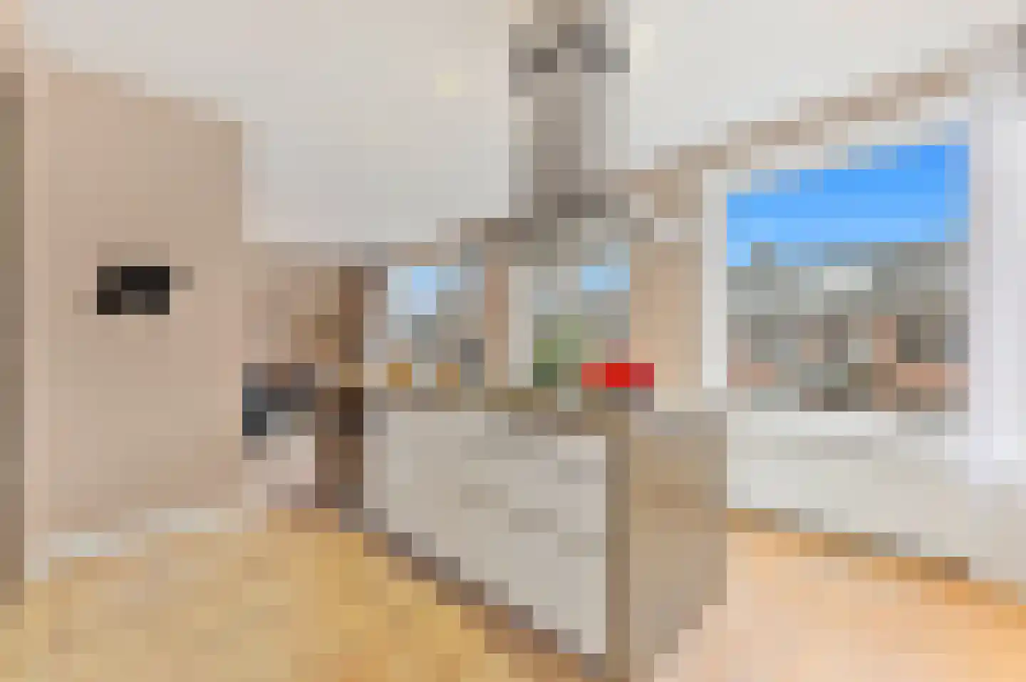 De Graeffstraat 11 B Rotterdam thumbnail 21