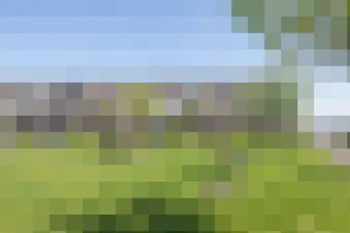 De Graeffstraat 11 B Rotterdam thumbnail 40