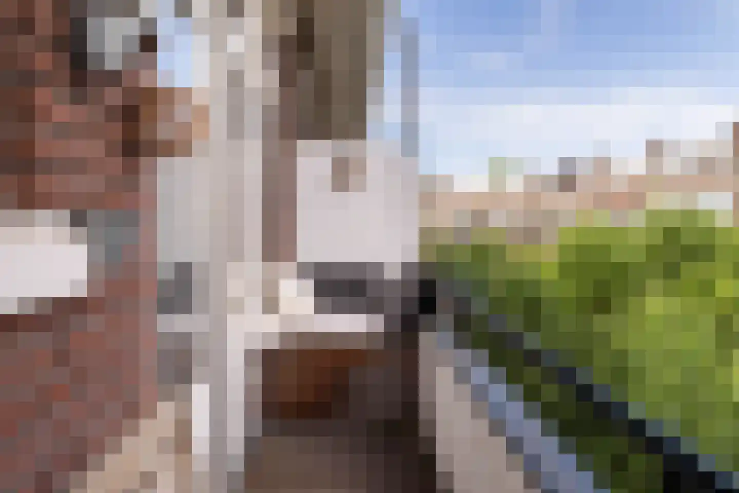 De Graeffstraat 22 A Rotterdam thumbnail 32