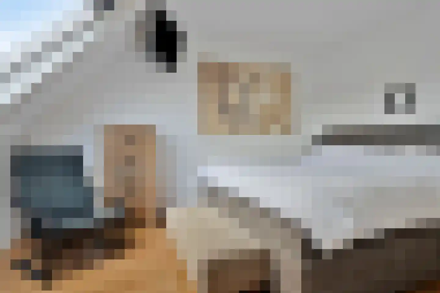 De Graeffweg 4 Purmerend thumbnail 18