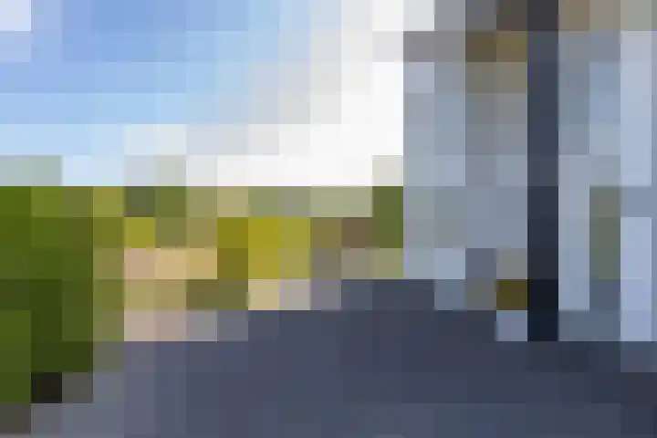 De Grasjuffer 2 Eelderwolde thumbnail 11