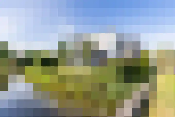 De Grasjuffer 2 Eelderwolde thumbnail 12