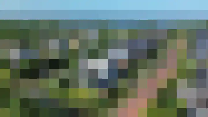 De Grasjuffer 2 Eelderwolde thumbnail 5