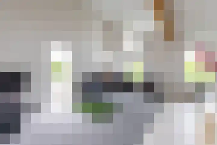 De Grasjuffer 2 Eelderwolde thumbnail 53