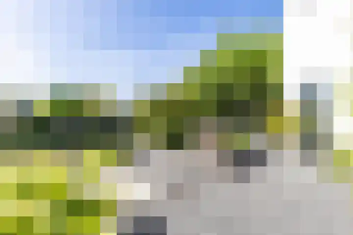De Grasjuffer 2 Eelderwolde thumbnail 58