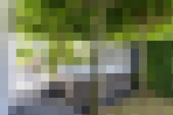 De Grasjuffer 2 Eelderwolde thumbnail 62