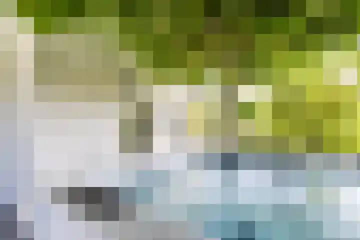 De Grasjuffer 2 Eelderwolde thumbnail 63