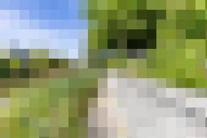 De Grasjuffer 2 Eelderwolde thumbnail 69