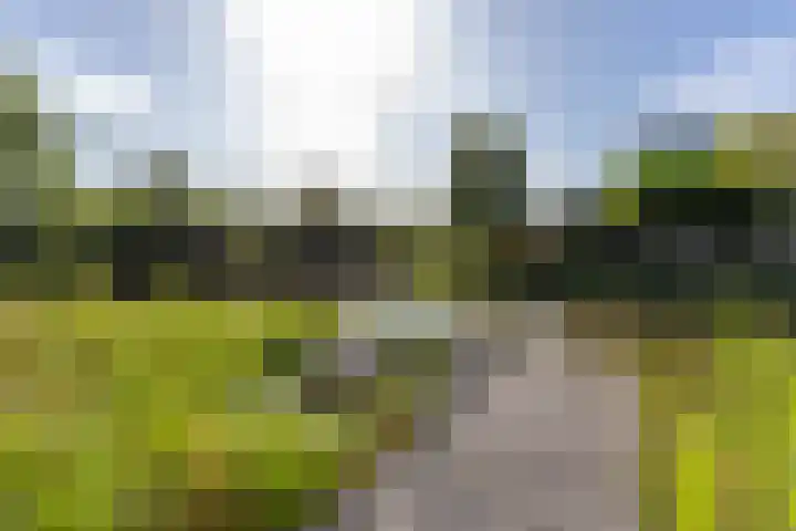 De Grasjuffer 2 Eelderwolde thumbnail 70