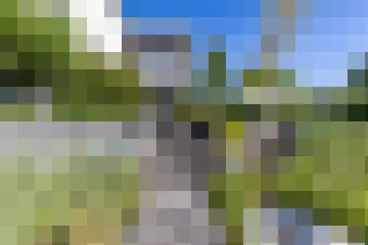 De Grasjuffer 2 Eelderwolde thumbnail 71