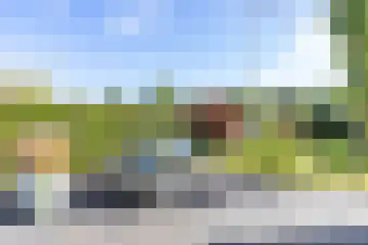 De Grasjuffer 2 Eelderwolde thumbnail 73