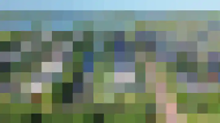 De Grasjuffer 2 Eelderwolde thumbnail 79