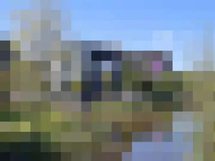 De Grasjuffer 2 Eelderwolde thumbnail 80