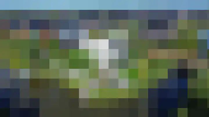 De Grasjuffer 2 Eelderwolde thumbnail 84