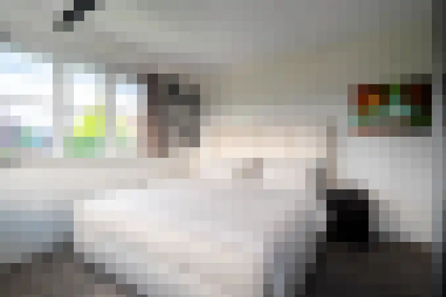 De Grasjuffer 21 Eelderwolde thumbnail 31