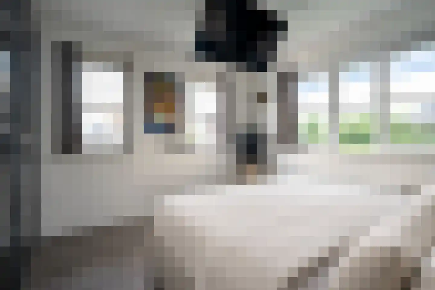 De Grasjuffer 21 Eelderwolde thumbnail 32