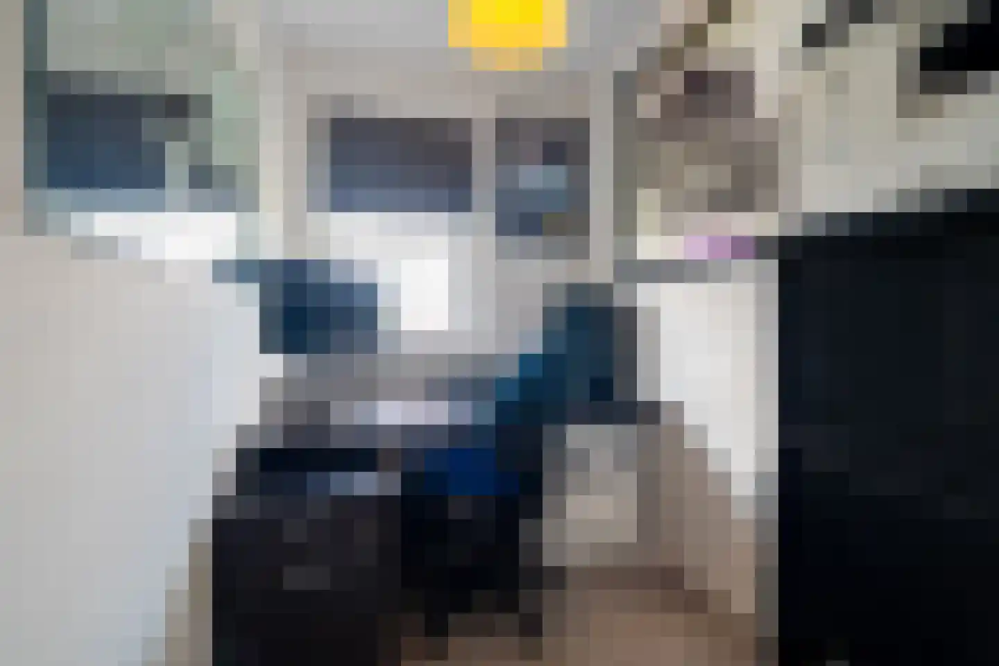 De Grasjuffer 21 Eelderwolde thumbnail 35