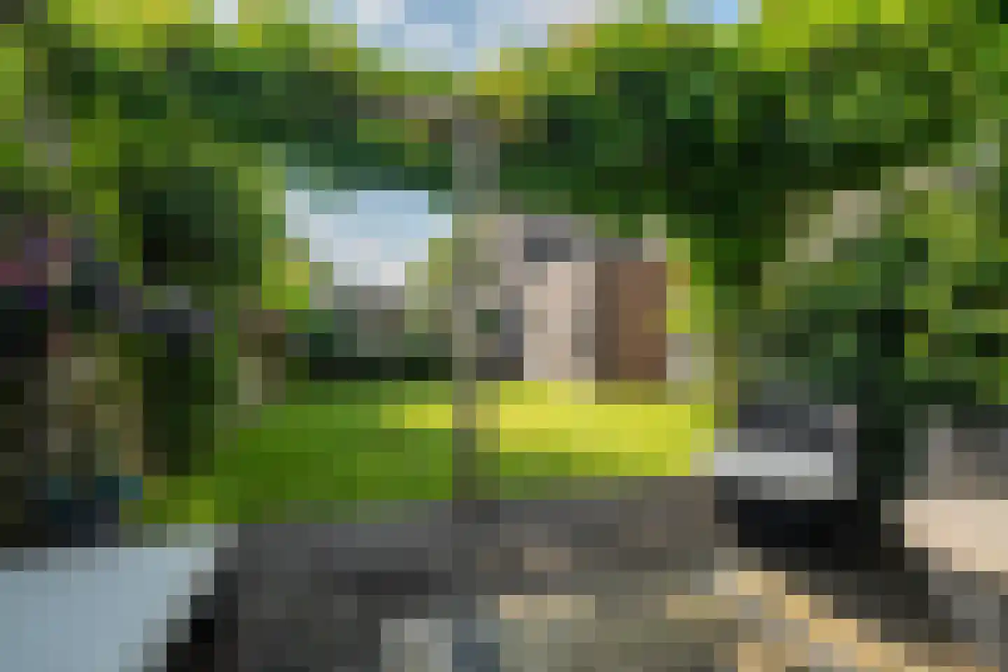 De Grasjuffer 21 Eelderwolde thumbnail 49